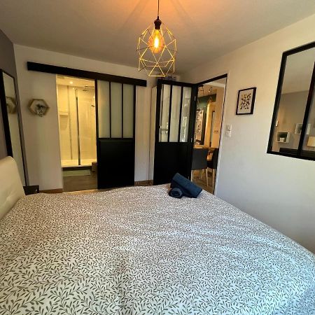 Confort Appartement Proche Gare Et Centre שטרסבורג מראה חיצוני תמונה